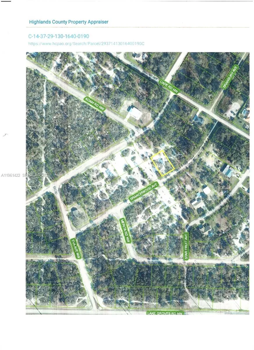 547 Branchwood Ave, Lake Placid FL 33852