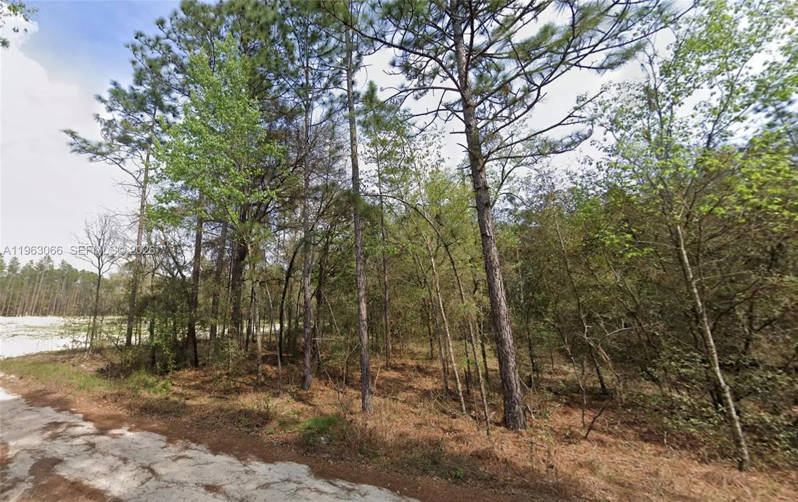 000 Dunnellon, Other City - In The State Of Florida FL 34432