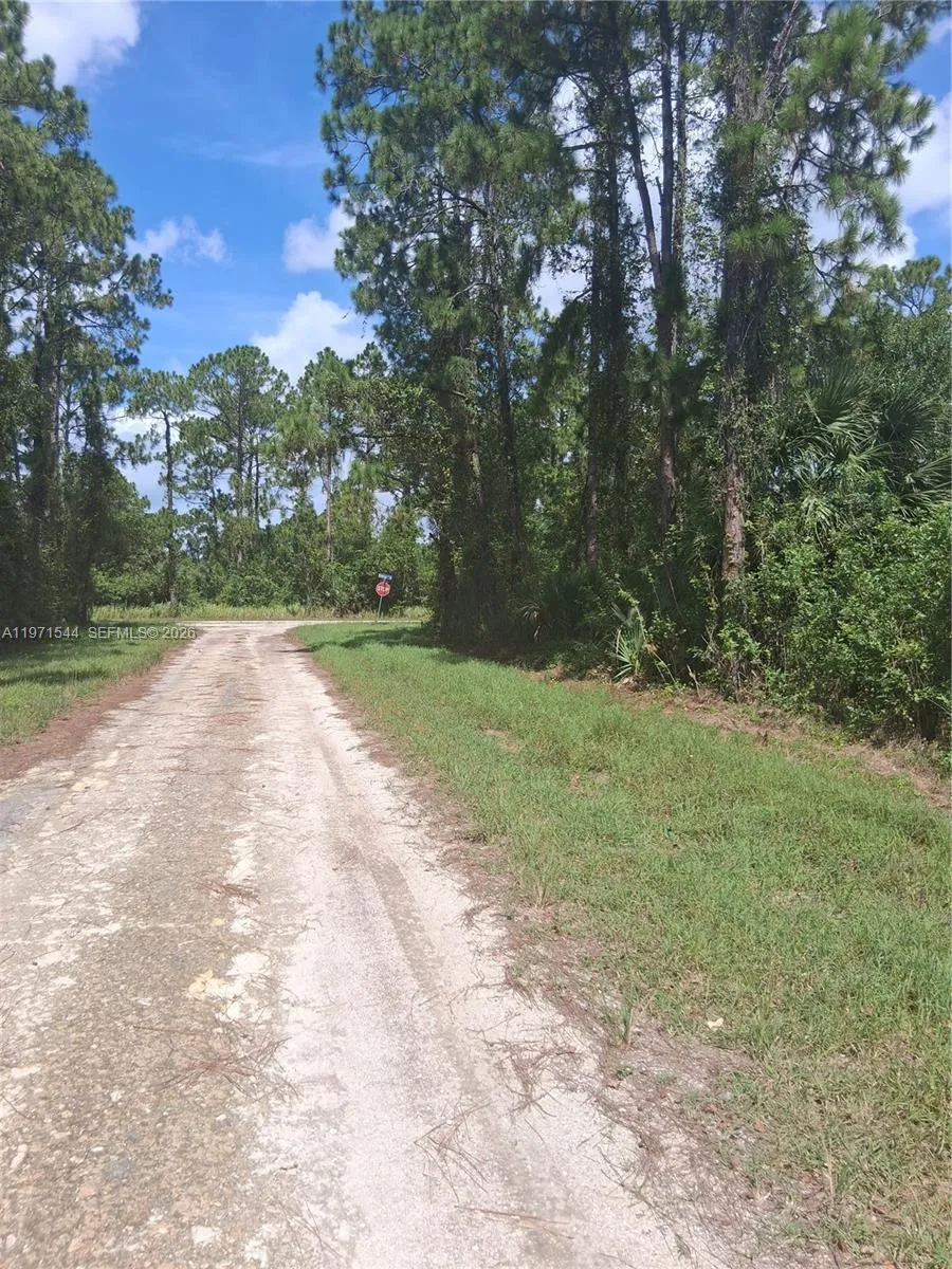 913 Abbey St e, Lehigh Acres FL 33974