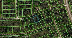 3238 Dean Avenue, Lake Placid FL 33852