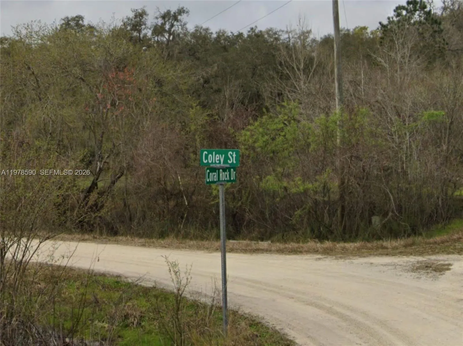 0 Coley St, Other City - In The State Of Florida FL 33697