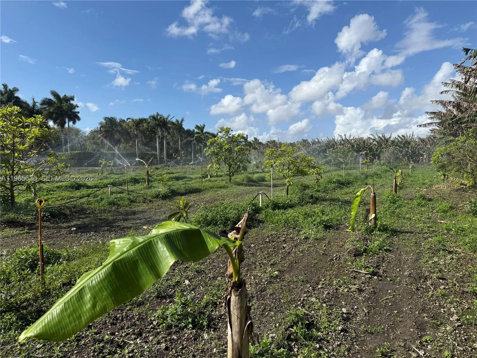 for sale at 16455 SW 207, Miami FL 33187