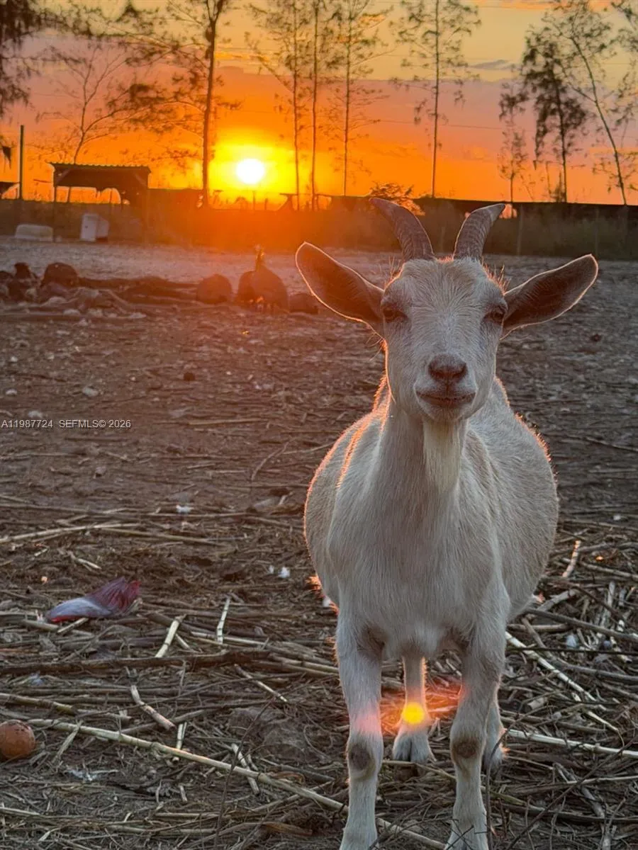 for sale at 208 AVE, Miami FL 33196