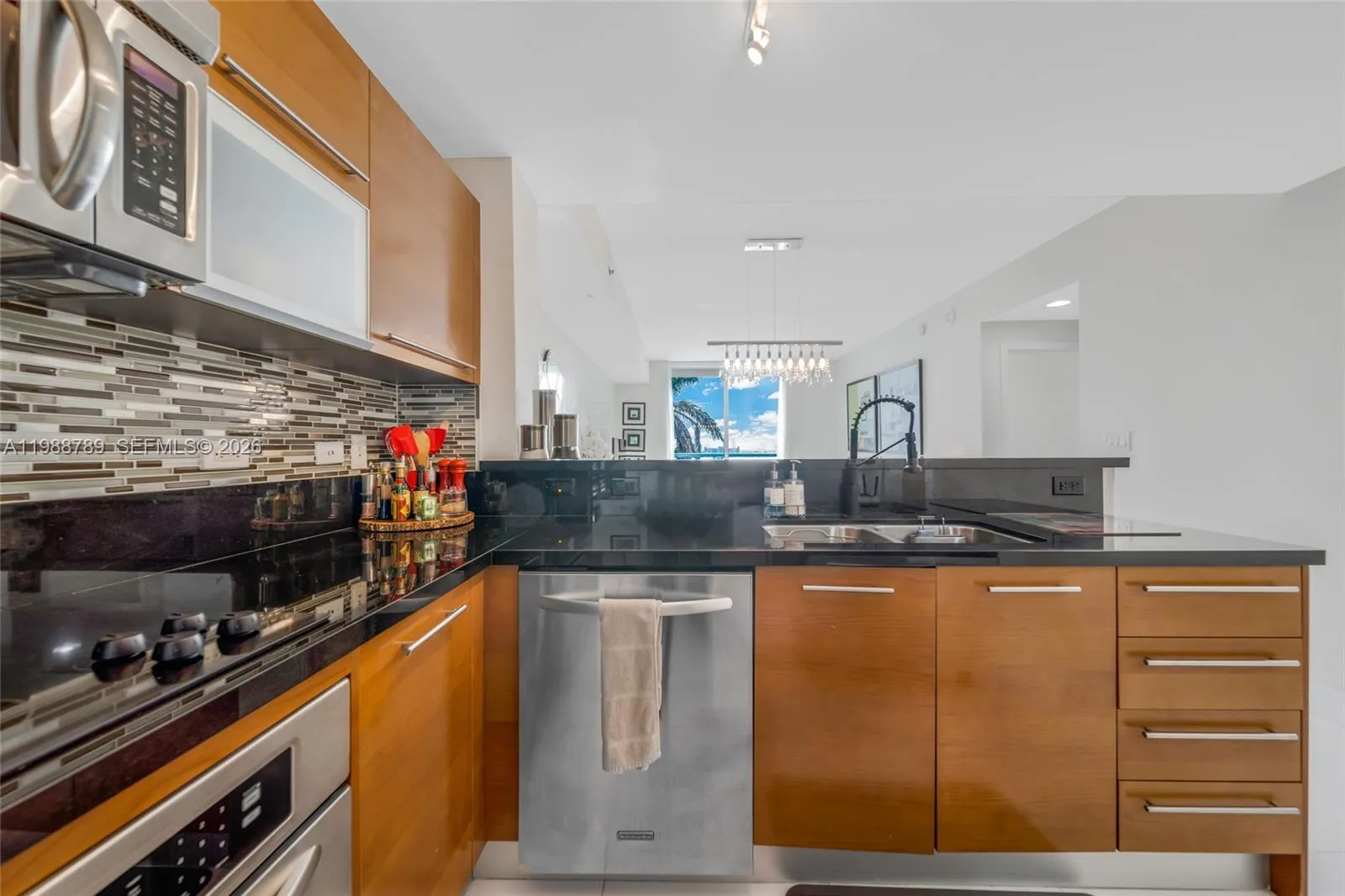 253 NE 2nd St # 1109, Miami FL 33132