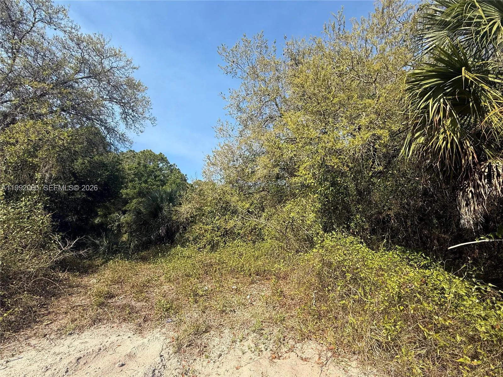 240 S ESTRIBO ST, Clewiston FL 33440