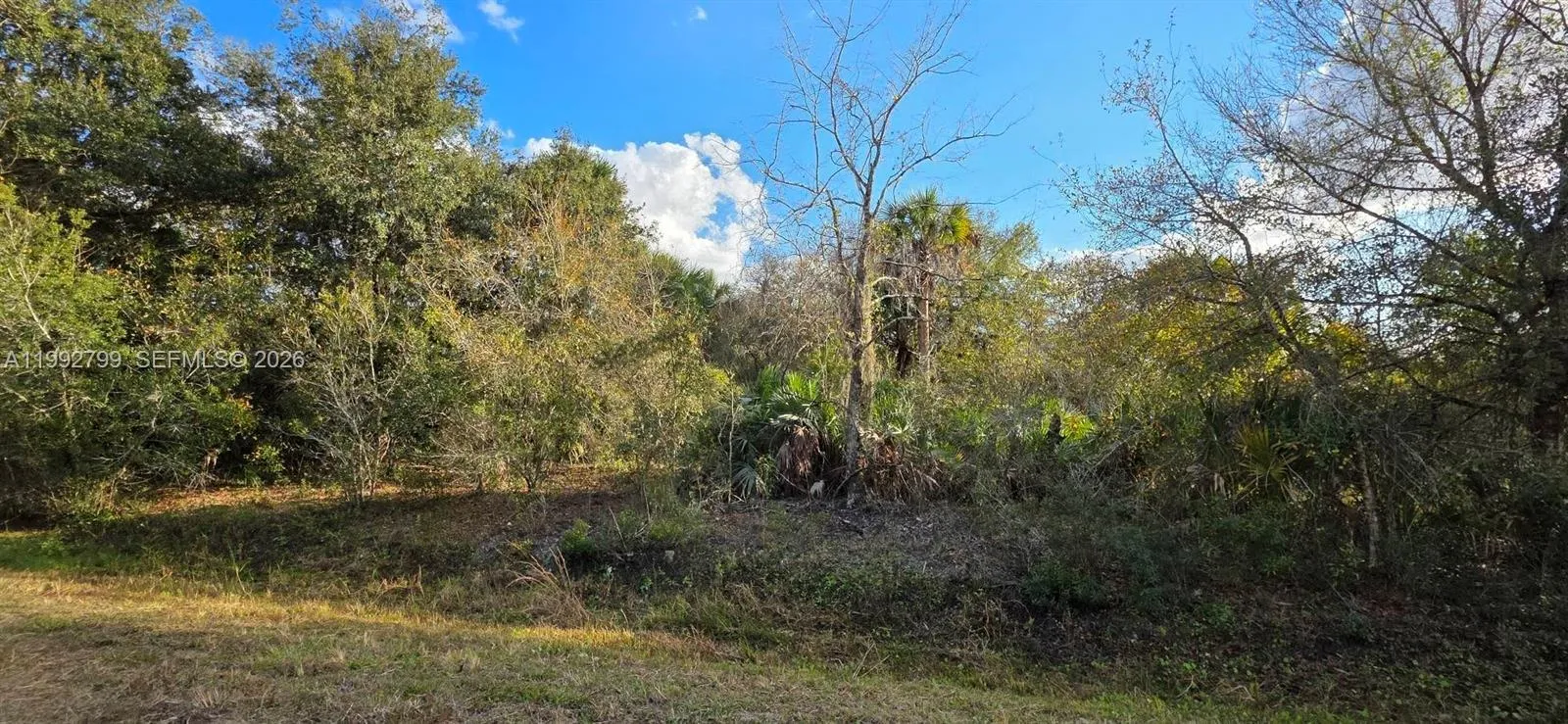 for sale at 19210 NW 278 st, Okeechobee FL 34972