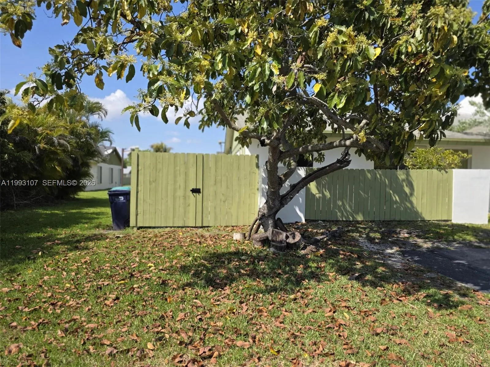 12241 SW 115th Ter # 12241, Miami FL 33186