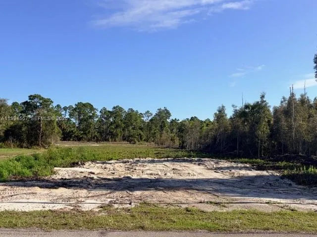 870 E Arturo St, Lehigh Acres FL 33974