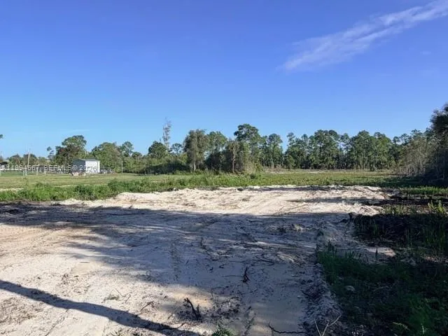 870 E Arturo St, Lehigh Acres FL 33974