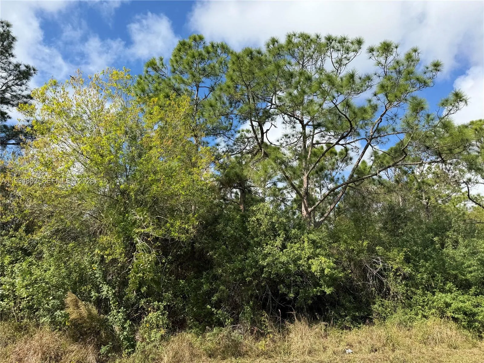 640 S JASMINE ST, Clewiston FL 33440