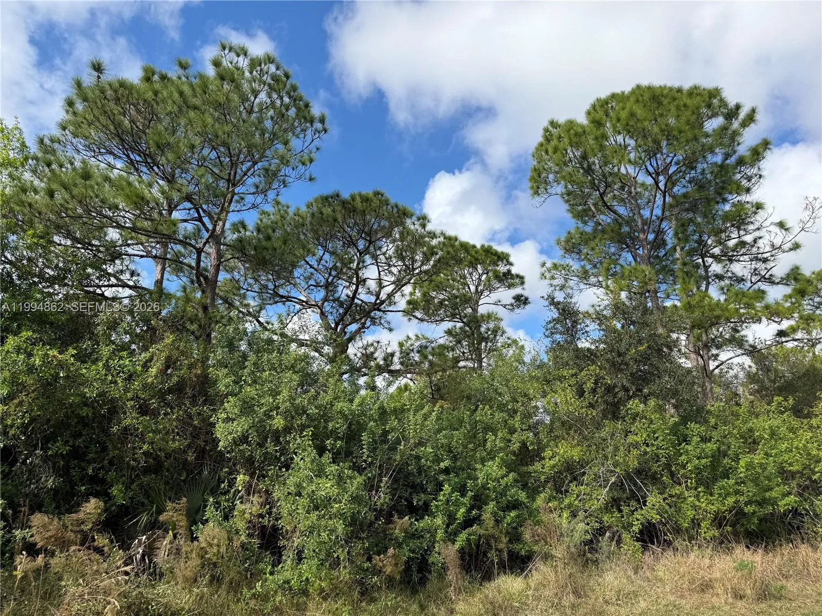 640 S JASMINE ST, Clewiston FL 33440