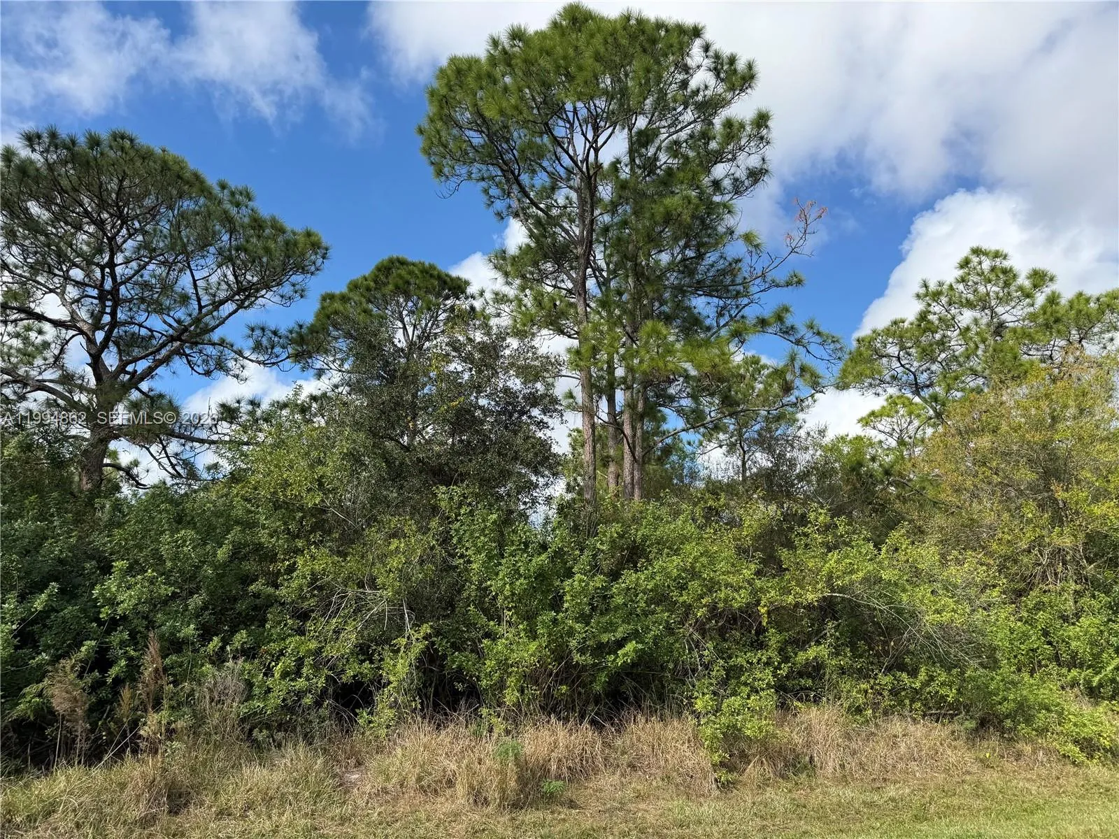 640 S JASMINE ST, Clewiston FL 33440