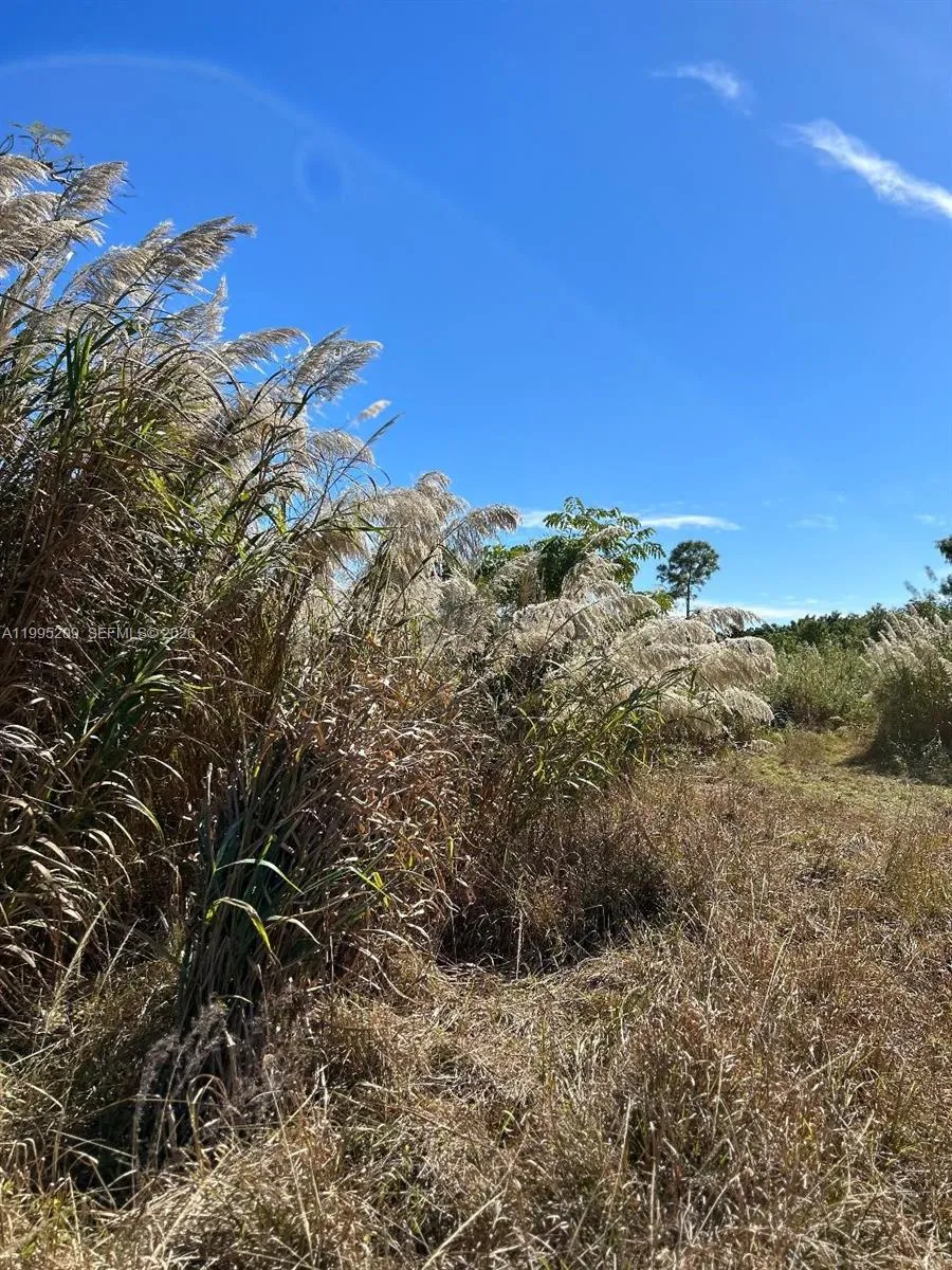 21861 Sw 112th Ct, Unincorporated Dade County FL 33170