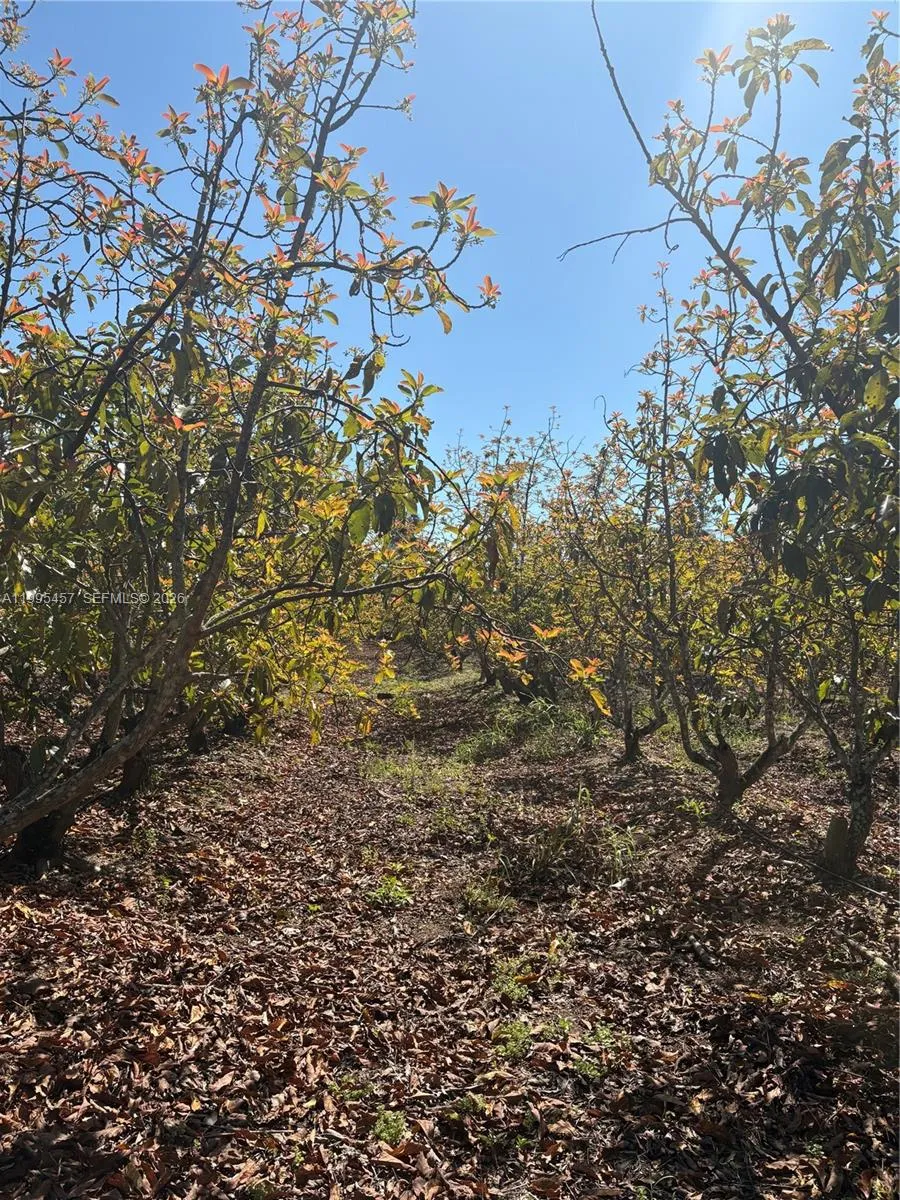 184XX SW 207, Miami FL 33187