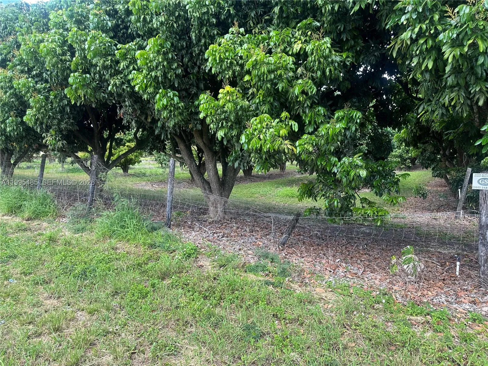 SW 344 St., Homestead FL 33034