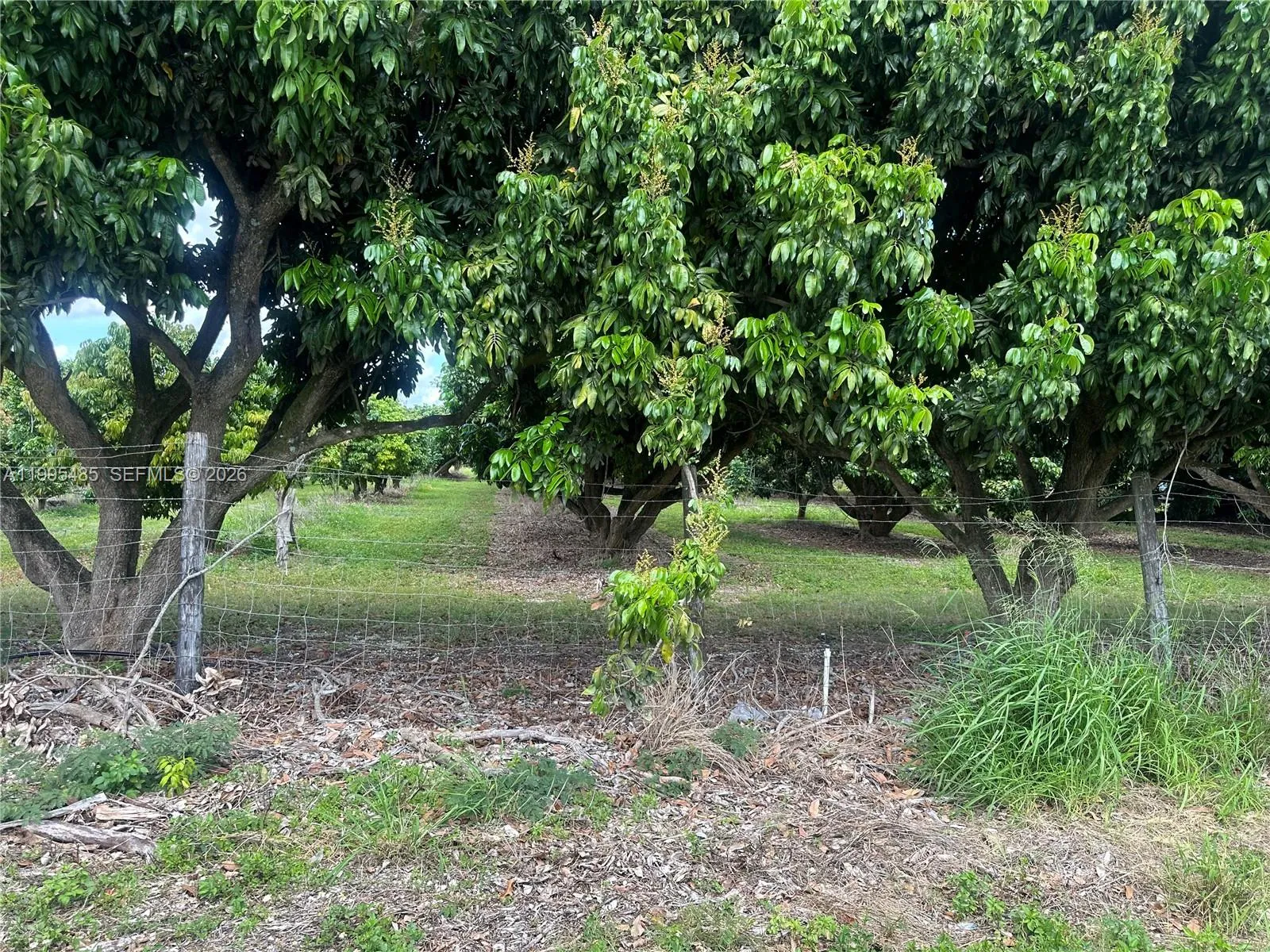 SW 344 St., Homestead FL 33034