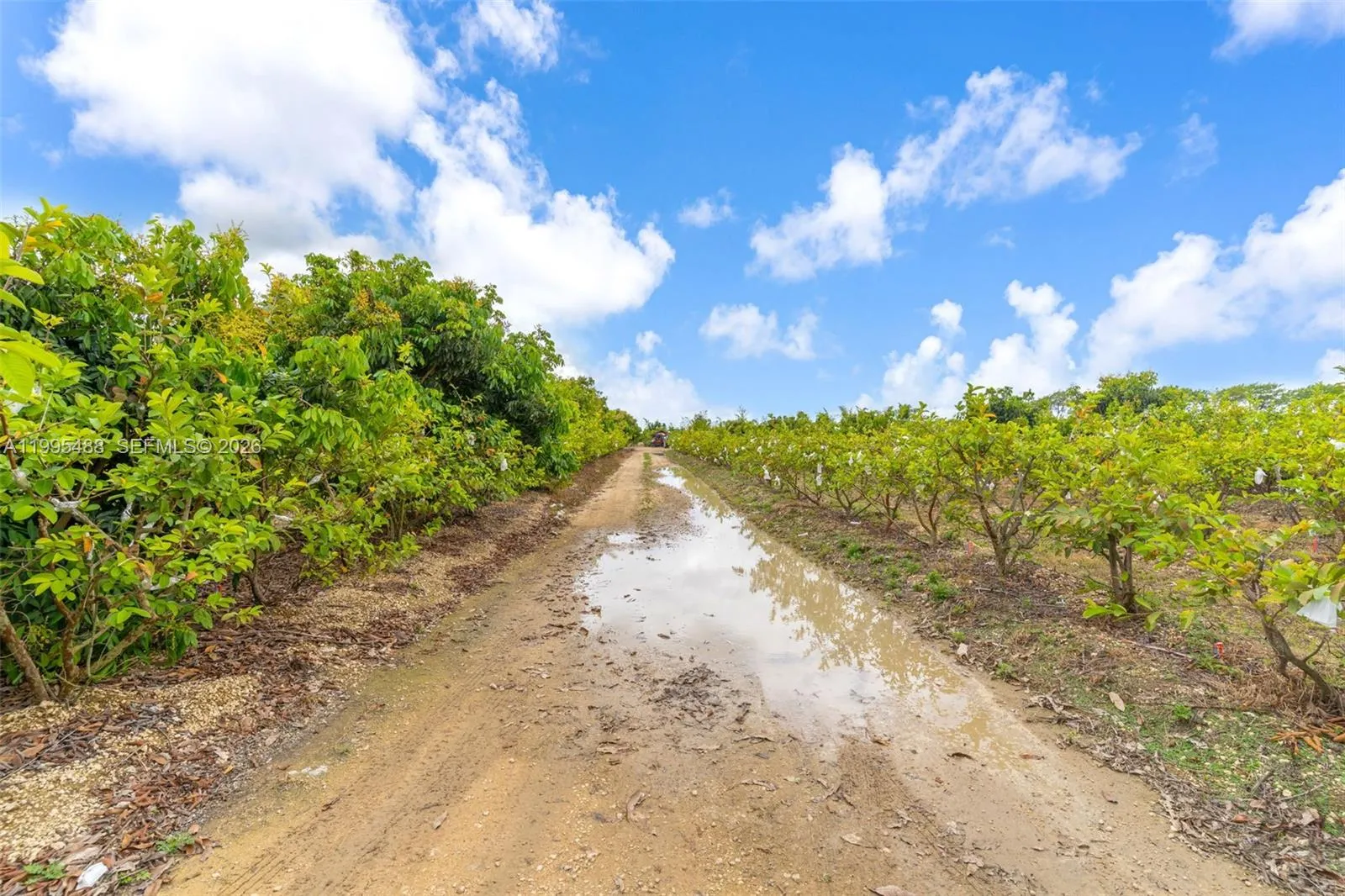 342XX SW 219 AVENUE, Miami FL 33034