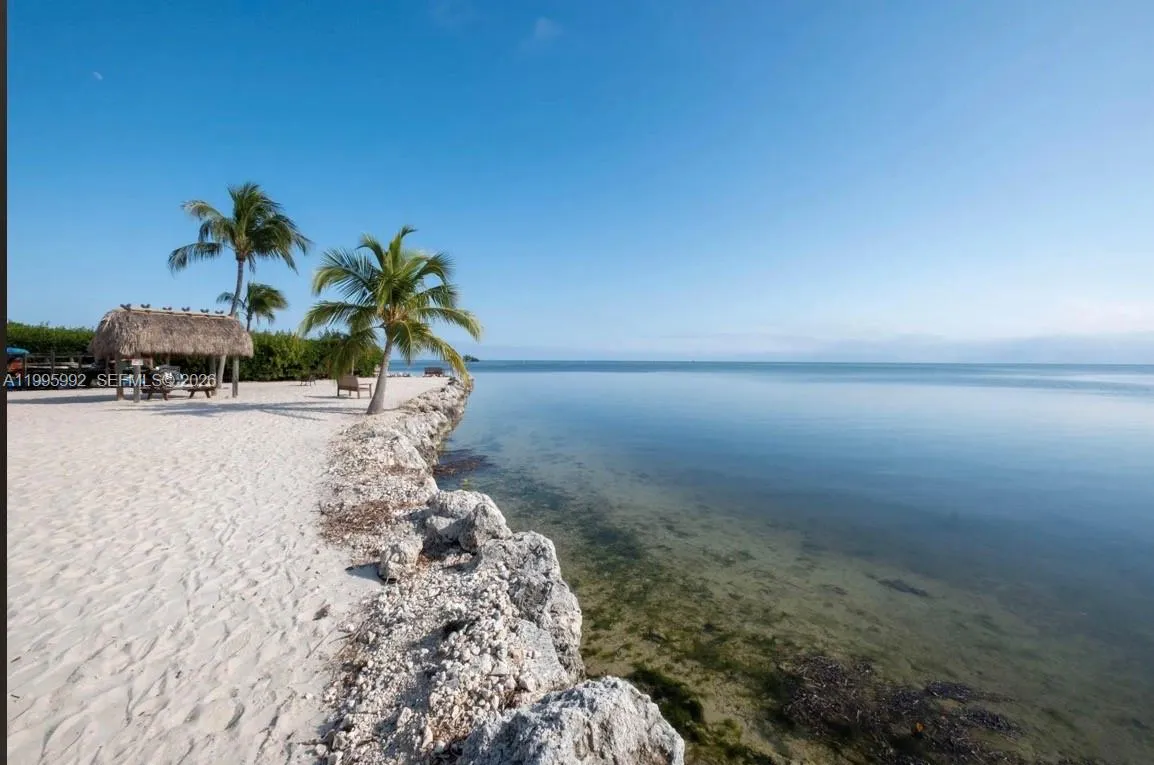 200 Wrenn # 502, Plantation Key FL 33070