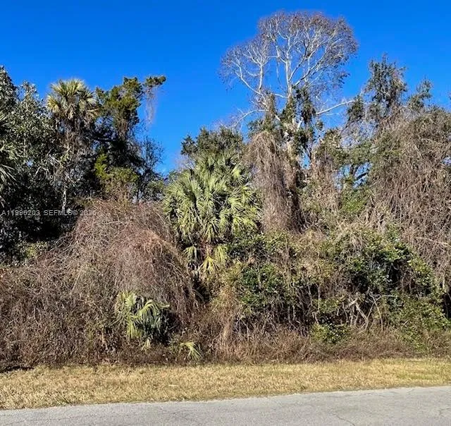 11147 W State Park ST, Other City - In The State Of Florida FL 34428