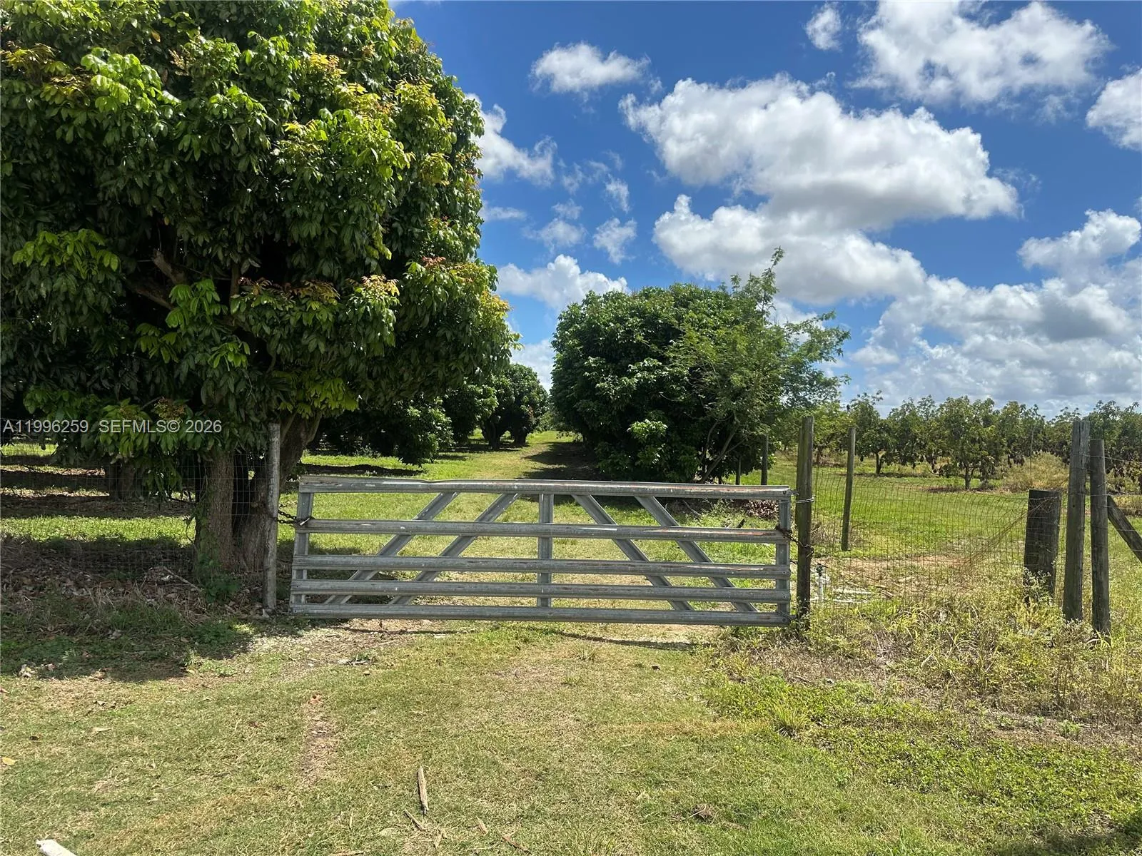 206XX SW 344 ST, Homestead FL 33034