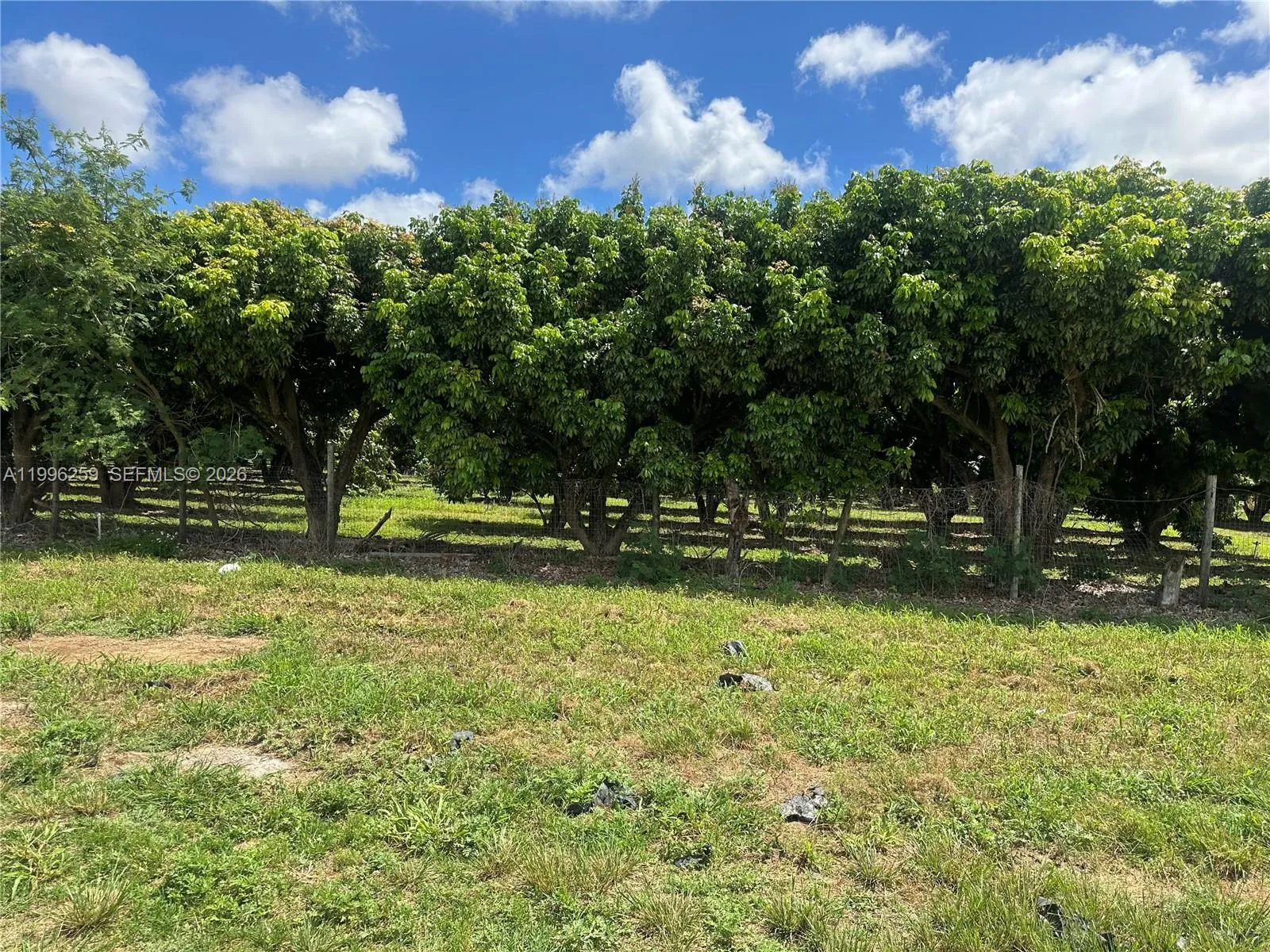 206XX SW 344 ST, Homestead FL 33034