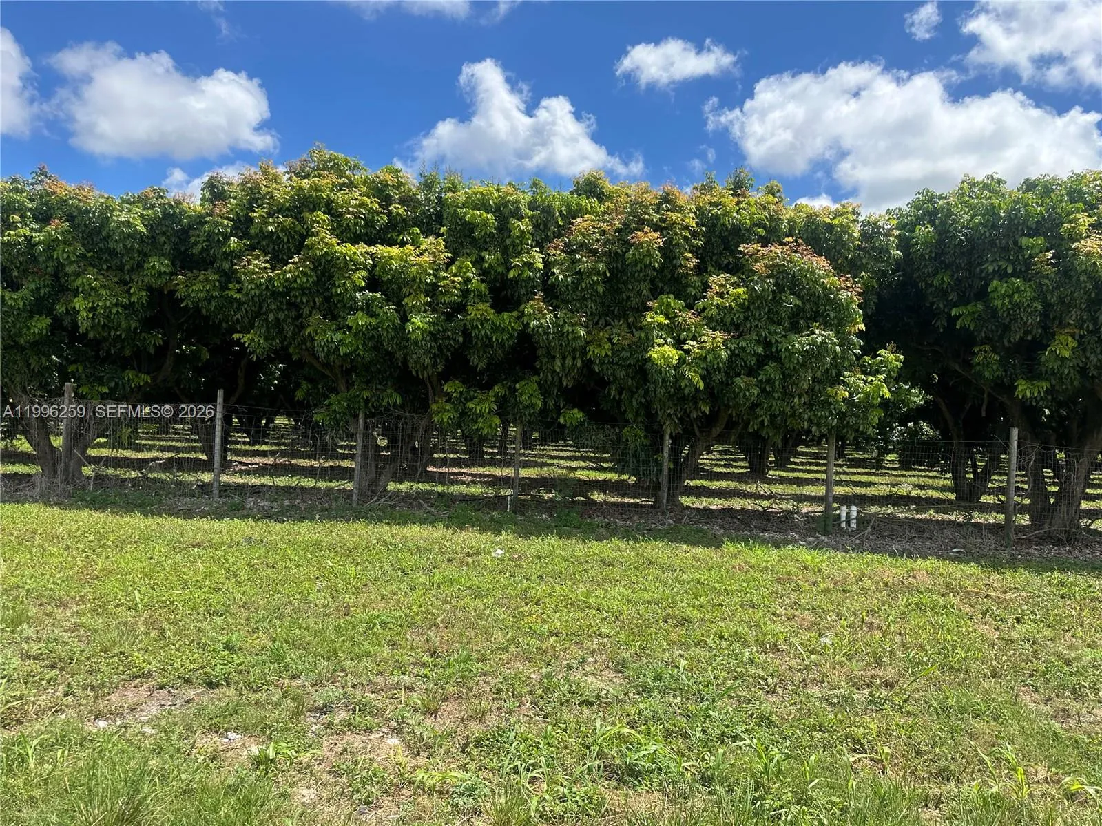 206XX SW 344 ST, Homestead FL 33034