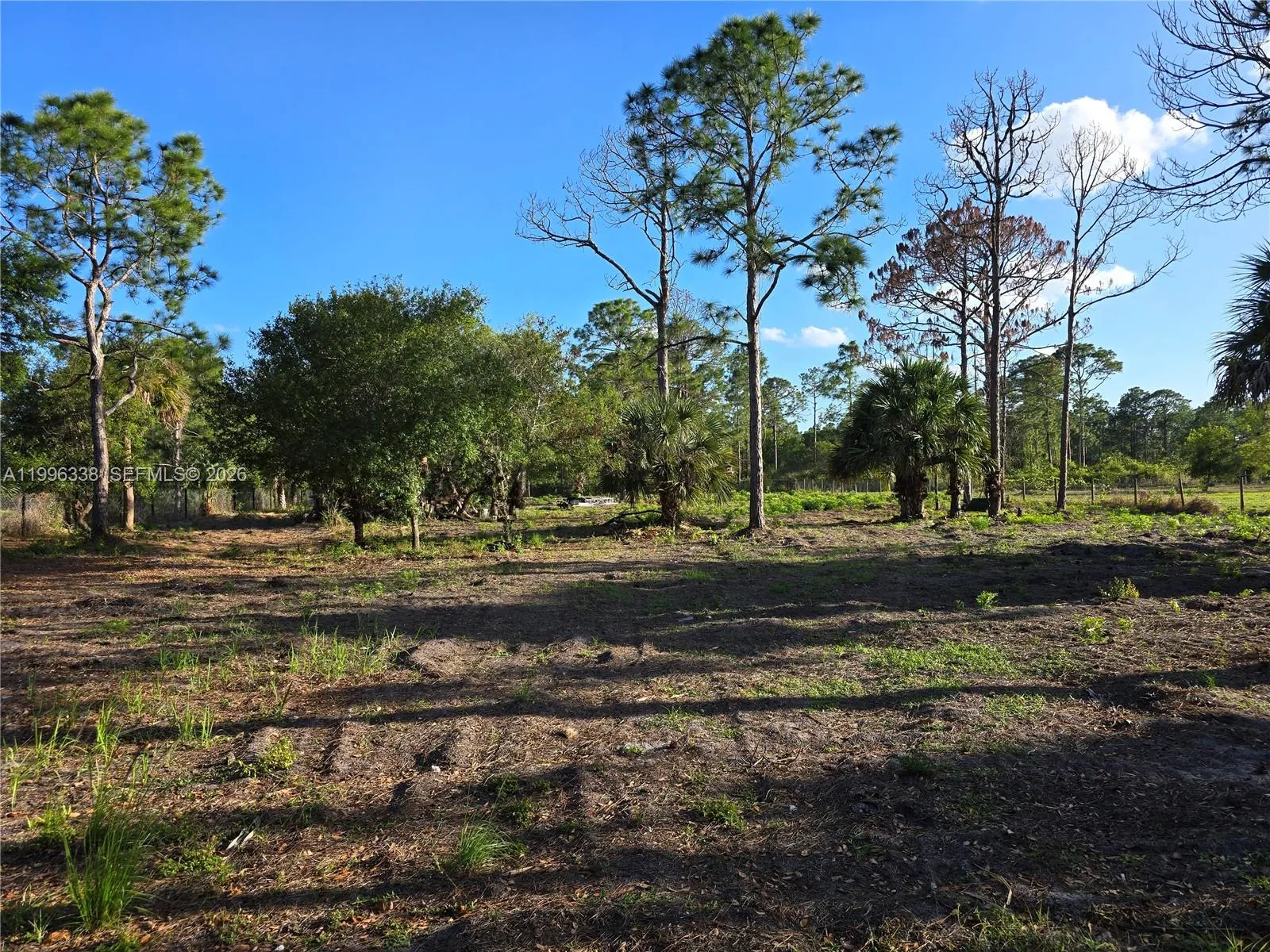 466 Hunting Club Ave, Clewiston FL 33440