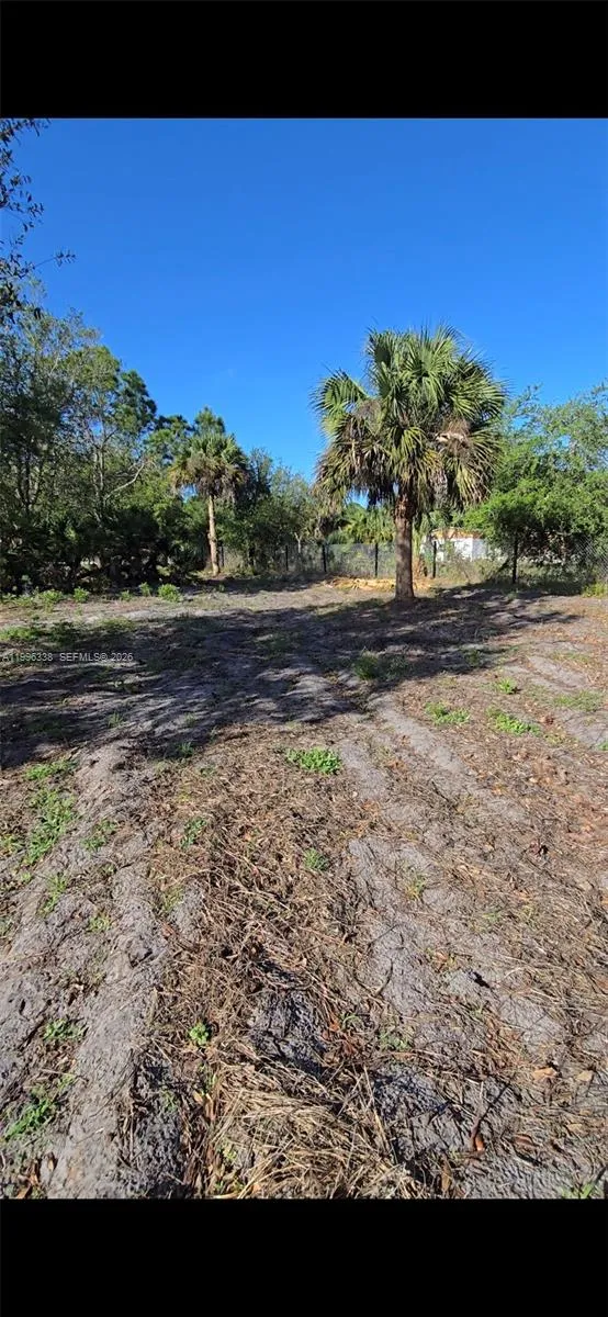 466 Hunting Club Ave, Clewiston FL 33440