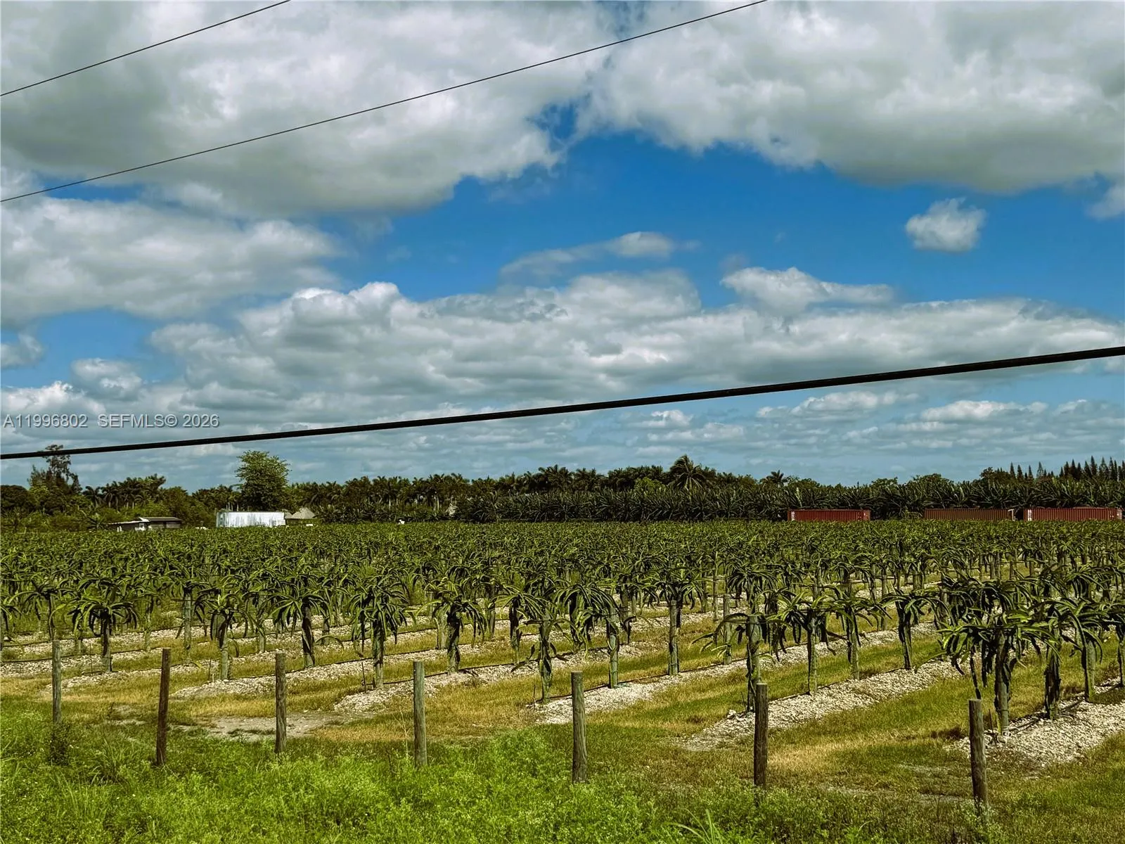 152xx SW 197th Ave, Miami FL 33196