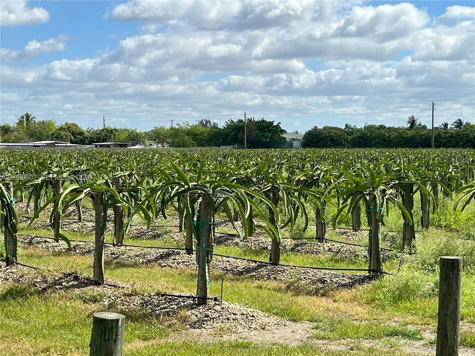 152xx SW 197th Ave, Miami FL 33196