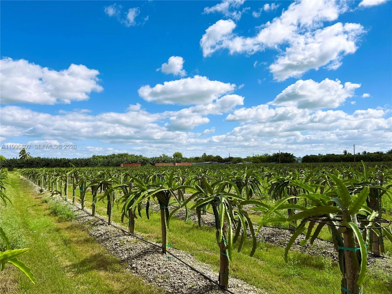 152xx SW 197th Ave, Miami FL 33196