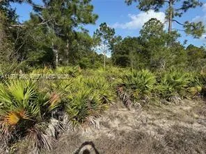 1604 Clayton Ave, Lehigh Acres FL 33972