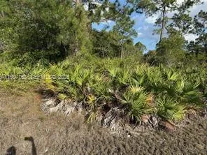 1604 Clayton Ave, Lehigh Acres FL 33972