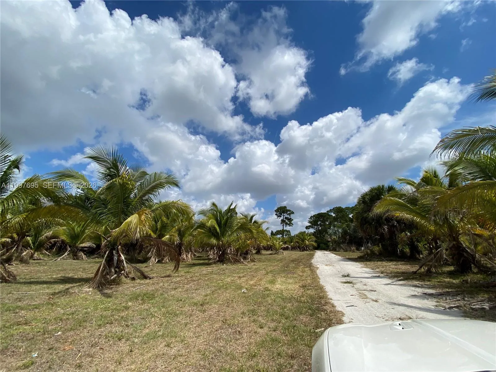 4411 Forest Hill Blvd, Palm Springs FL 33406