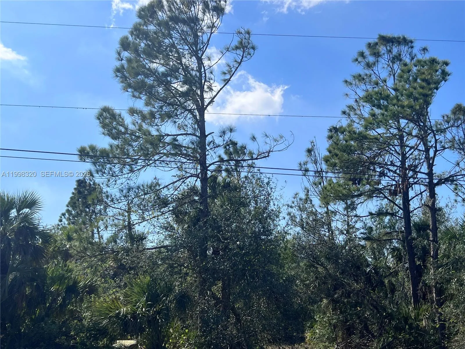 273 OVERBROOK ST, Port Charlotte FL 33954