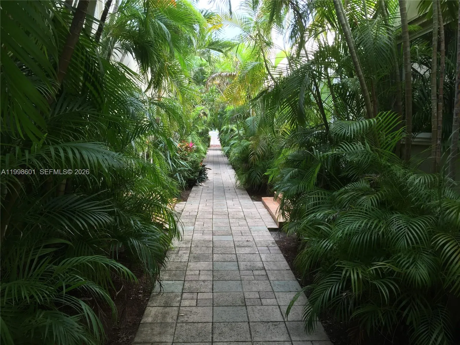 4740 Pine Tree Dr # 26, Miami Beach FL 33140