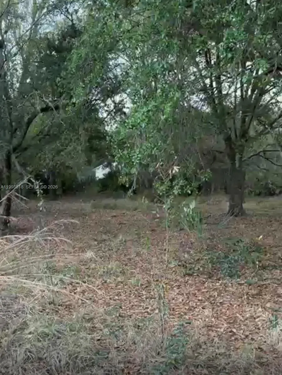 10800 S jefferson ave, Lake Placid FL 33852