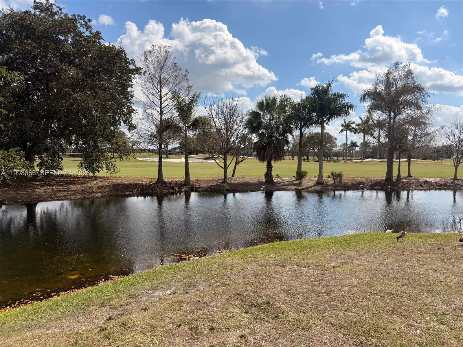 565 Vista Isles Dr # 2024, Sunrise FL 33325