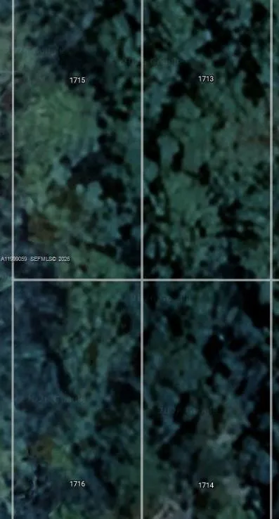 1714 & 1716 MAGNOLIA ST, Sebring FL 33875