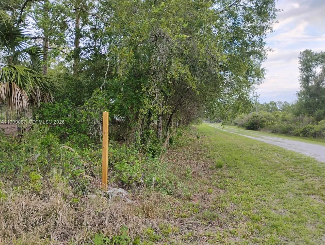 Property
