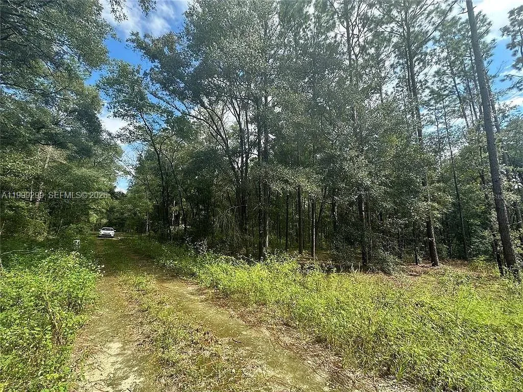 0 SW 153rd AVE, Ocala FL 34481