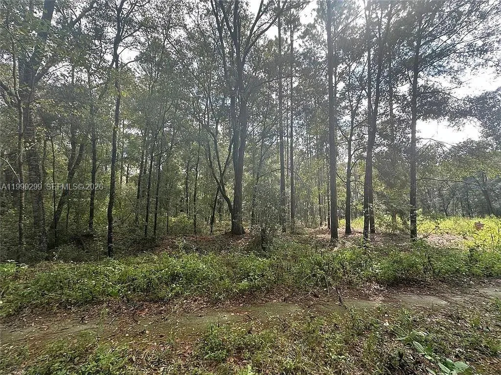 0 SW 153rd AVE, Ocala FL 34481