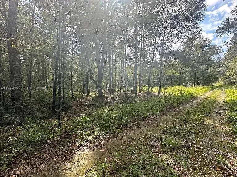 0 SW 153rd AVE, Ocala FL 34481