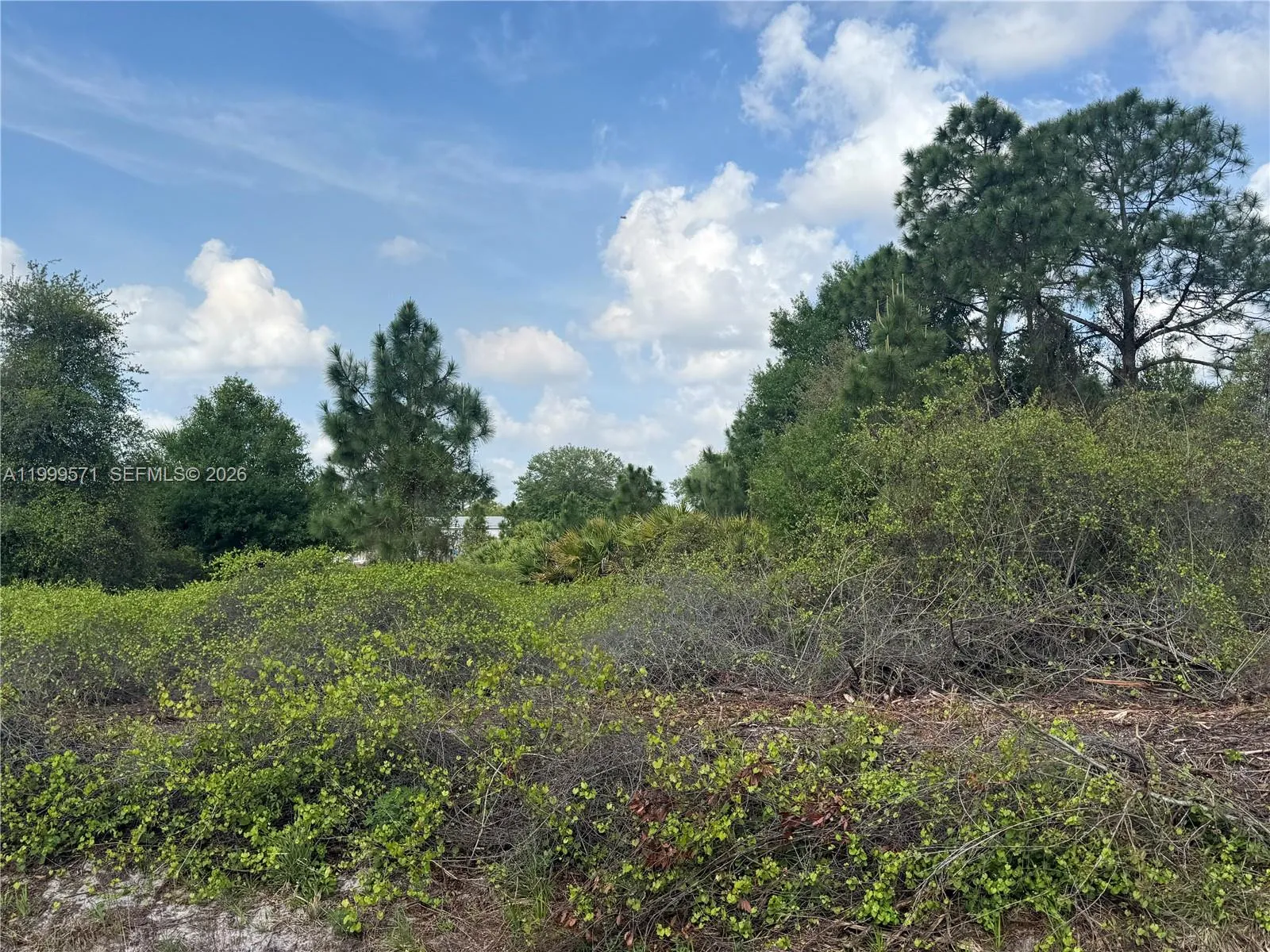 760 N NOGAL ST, Clewiston FL 33440