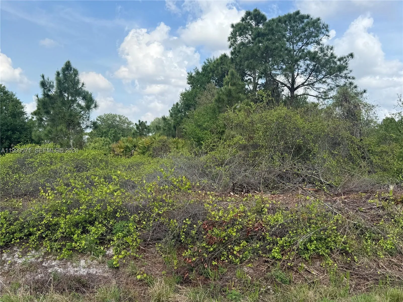 760 N NOGAL ST, Clewiston FL 33440