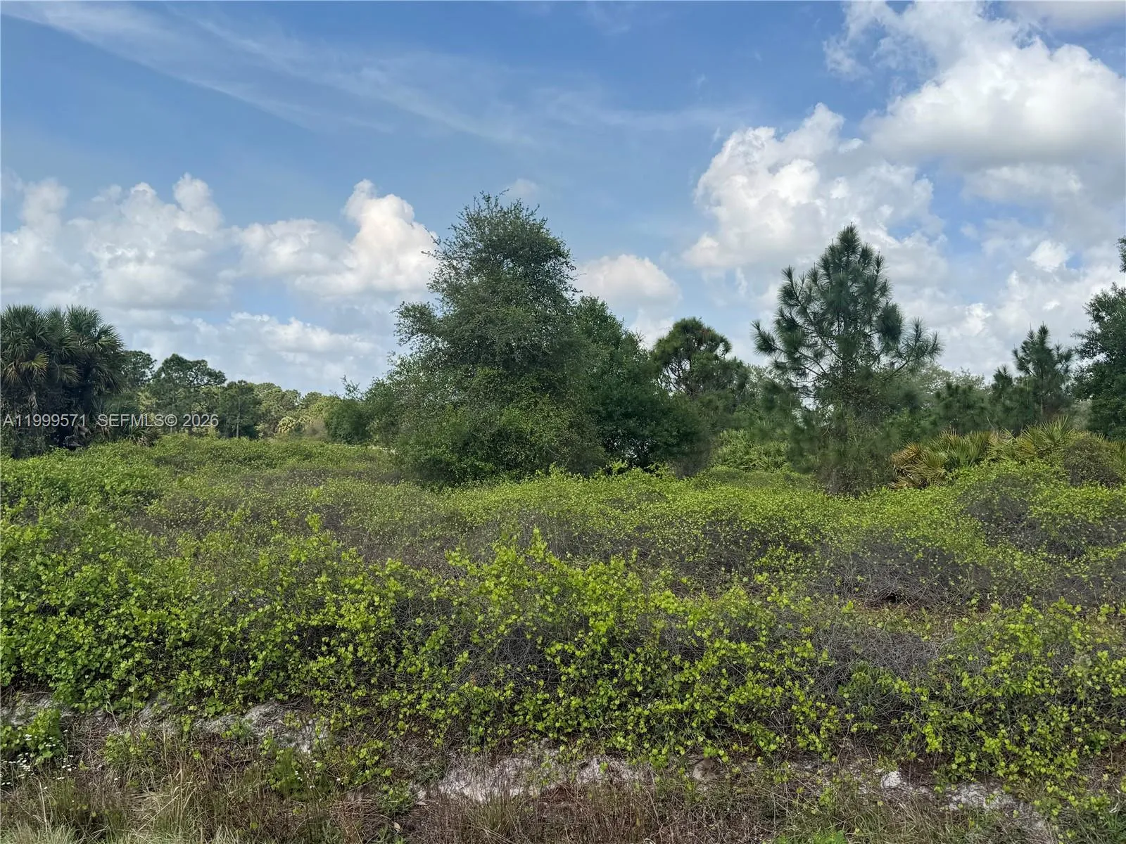 760 N NOGAL ST, Clewiston FL 33440