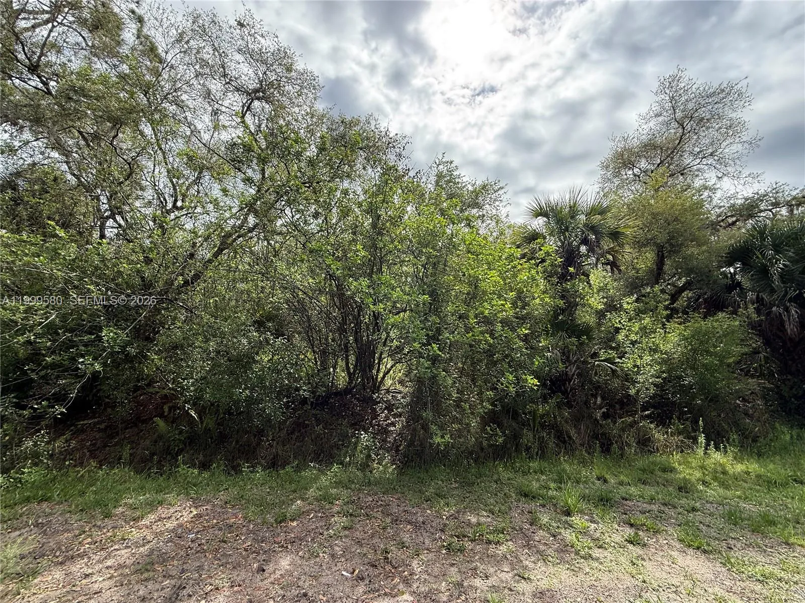 775 N ZAMBRIA ST, Clewiston FL 33440