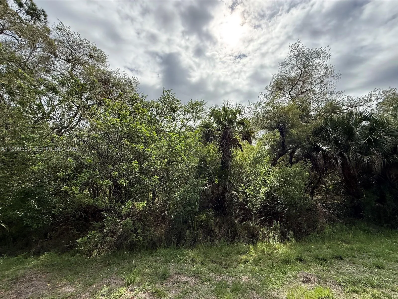 775 N ZAMBRIA ST, Clewiston FL 33440