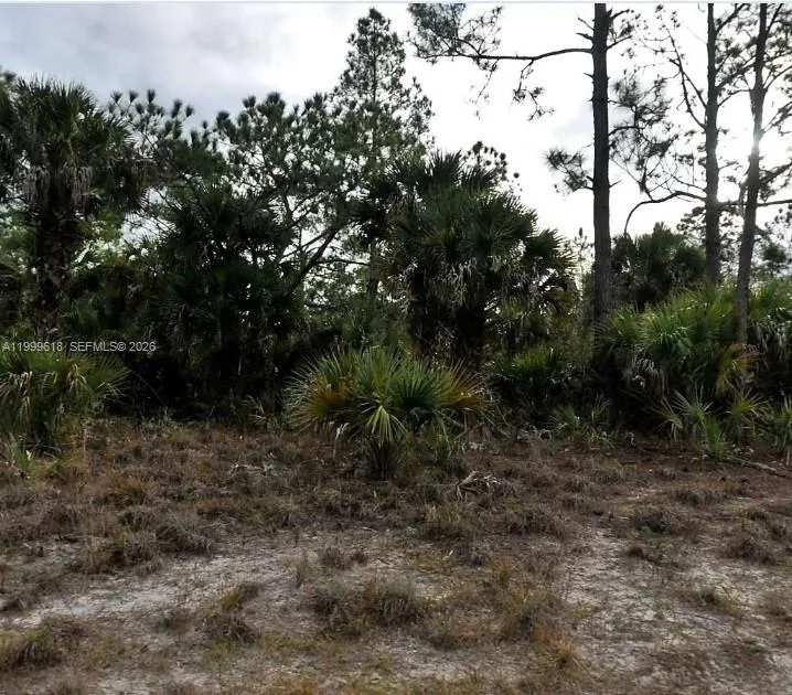 INVERNESS ST LOT # 3150, North Port FL 34288