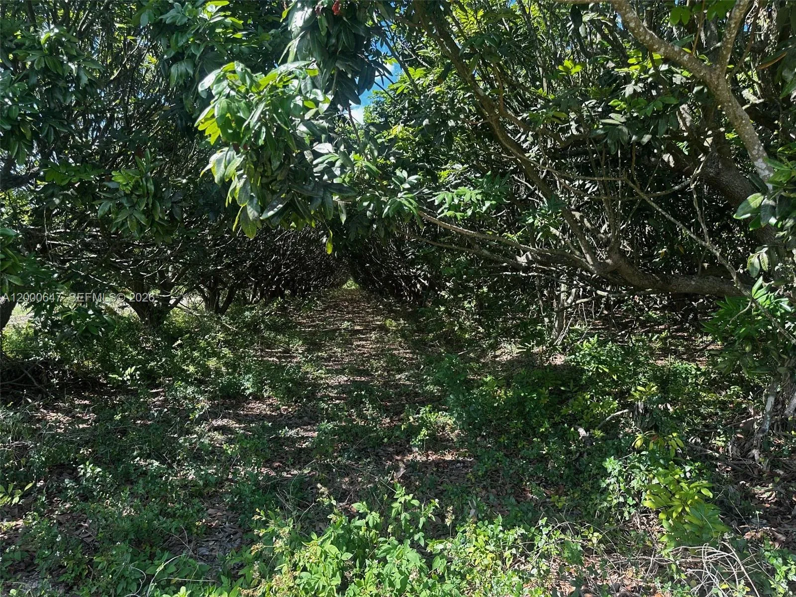 226XX SW 220 AV, Homestead FL 33170